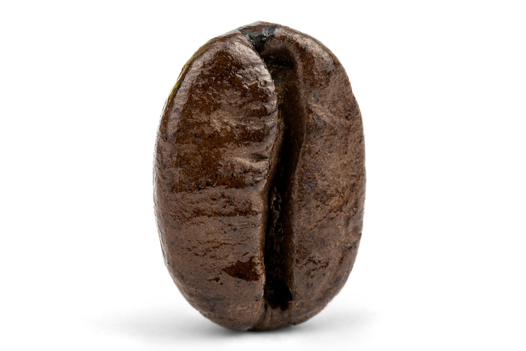 Decaf Colombian Medellin Supremo Coffee T2