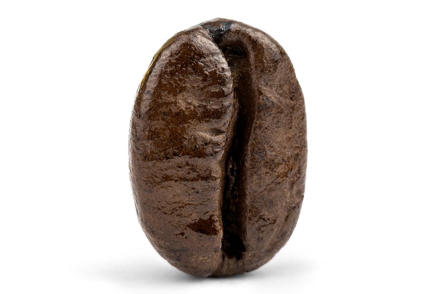 Decaf Colombian Medellin Supremo Coffee T2