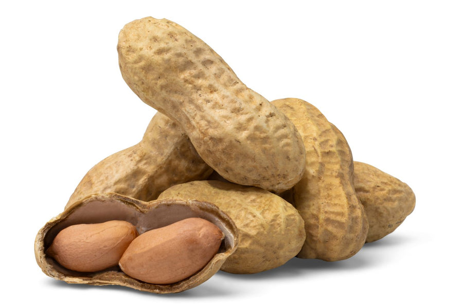 Jumbo Raw Peanuts (In Shell) Y9