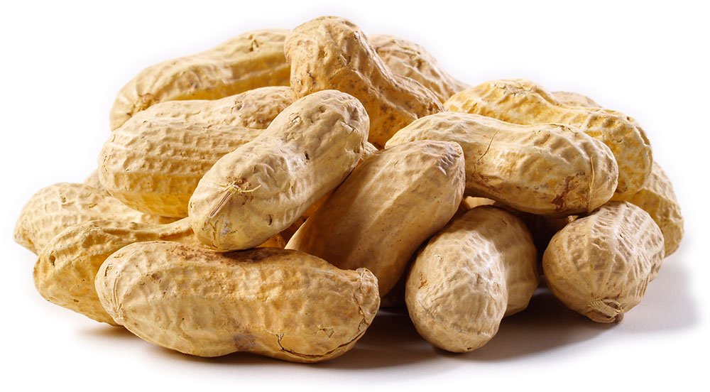 Jumbo Raw Peanuts (In Shell) Y9