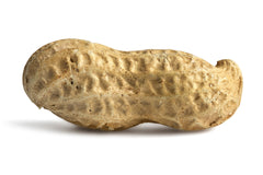 Jumbo Raw Peanuts (In Shell) Y9