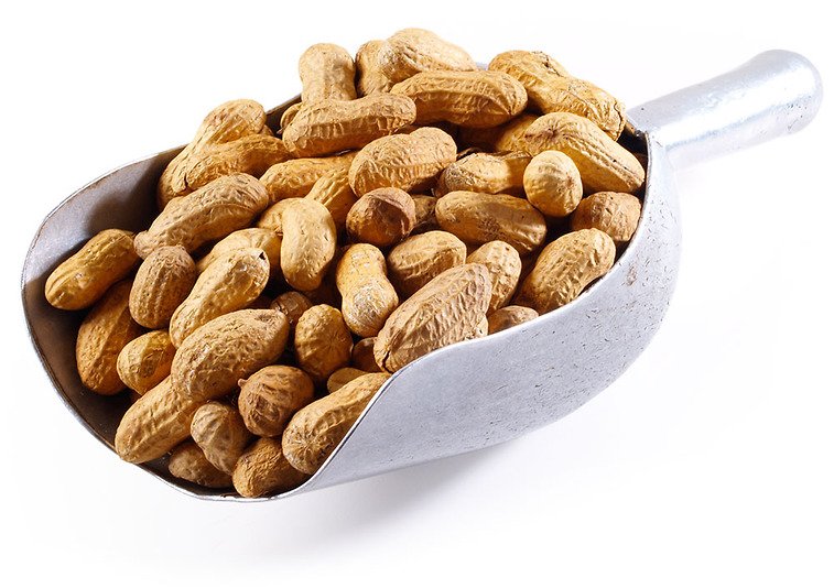 Jumbo Raw Peanuts (In Shell) Y9