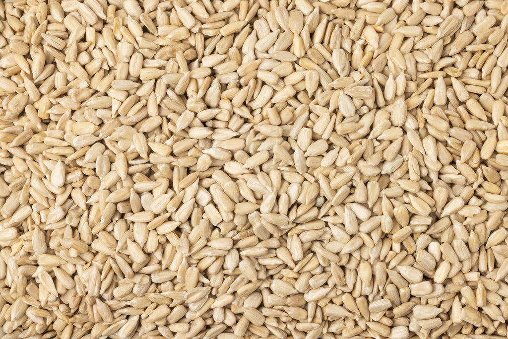 Organic Domestic Sunflower Seeds (Raw, No Shell) S6