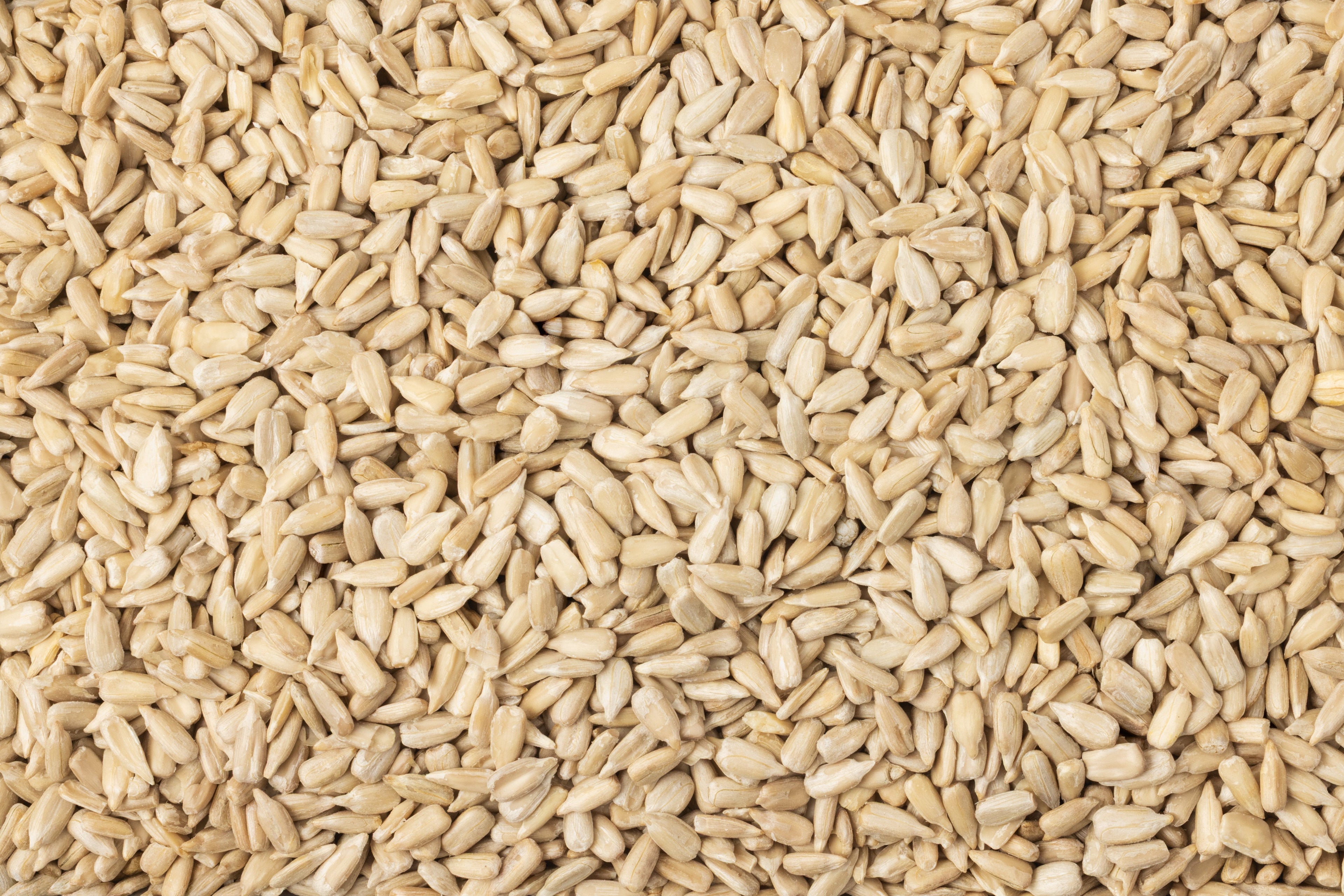 Organic Domestic Sunflower Seeds (Raw, No Shell) S6