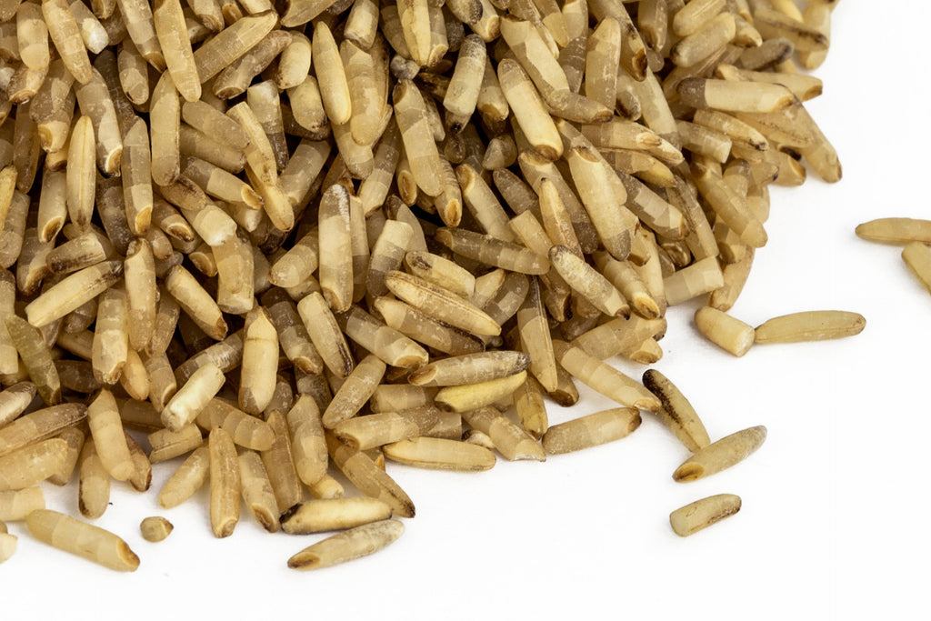 Organic Sprouted Brown Rice S9