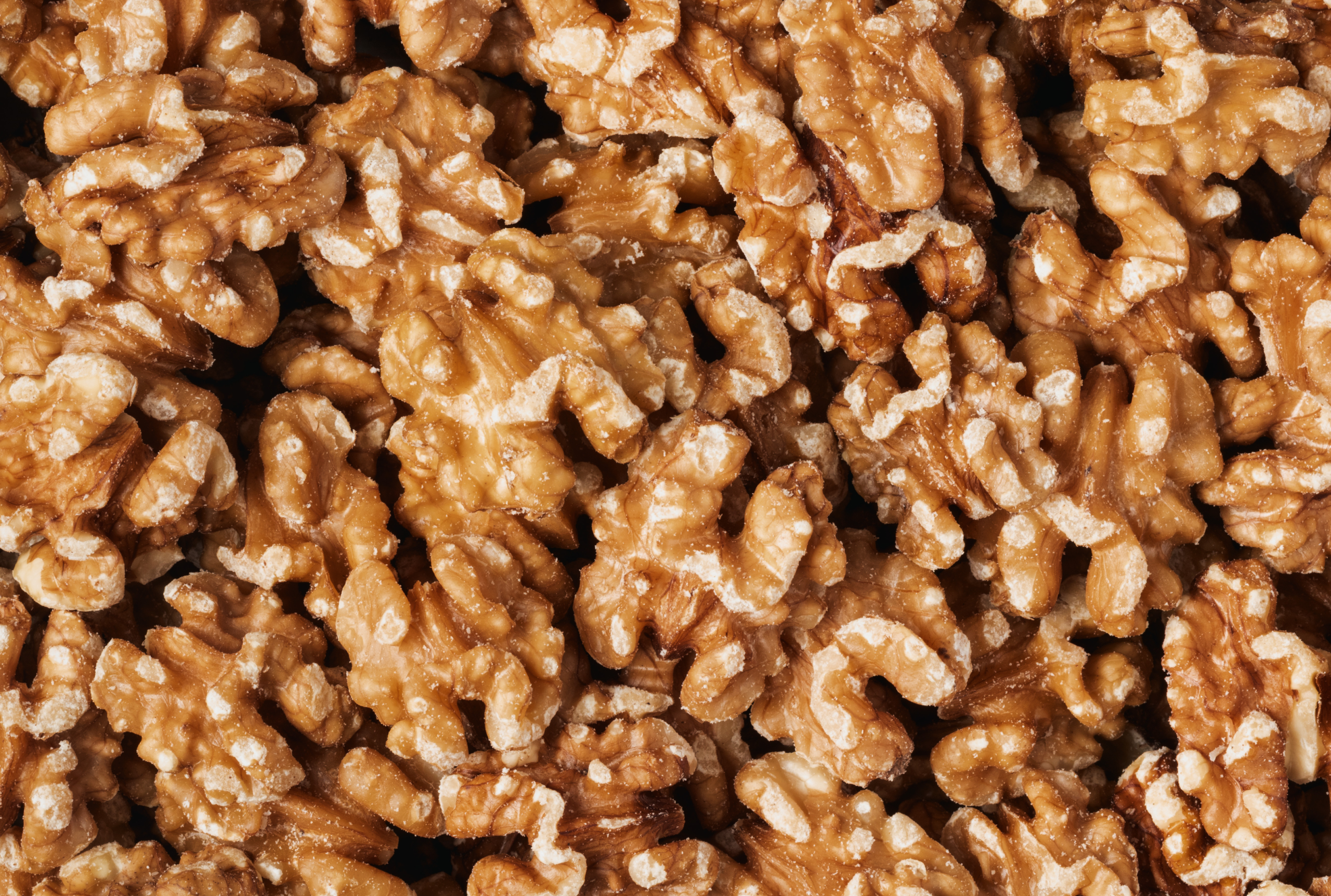 Organic Walnuts (Raw, No Shell) D6