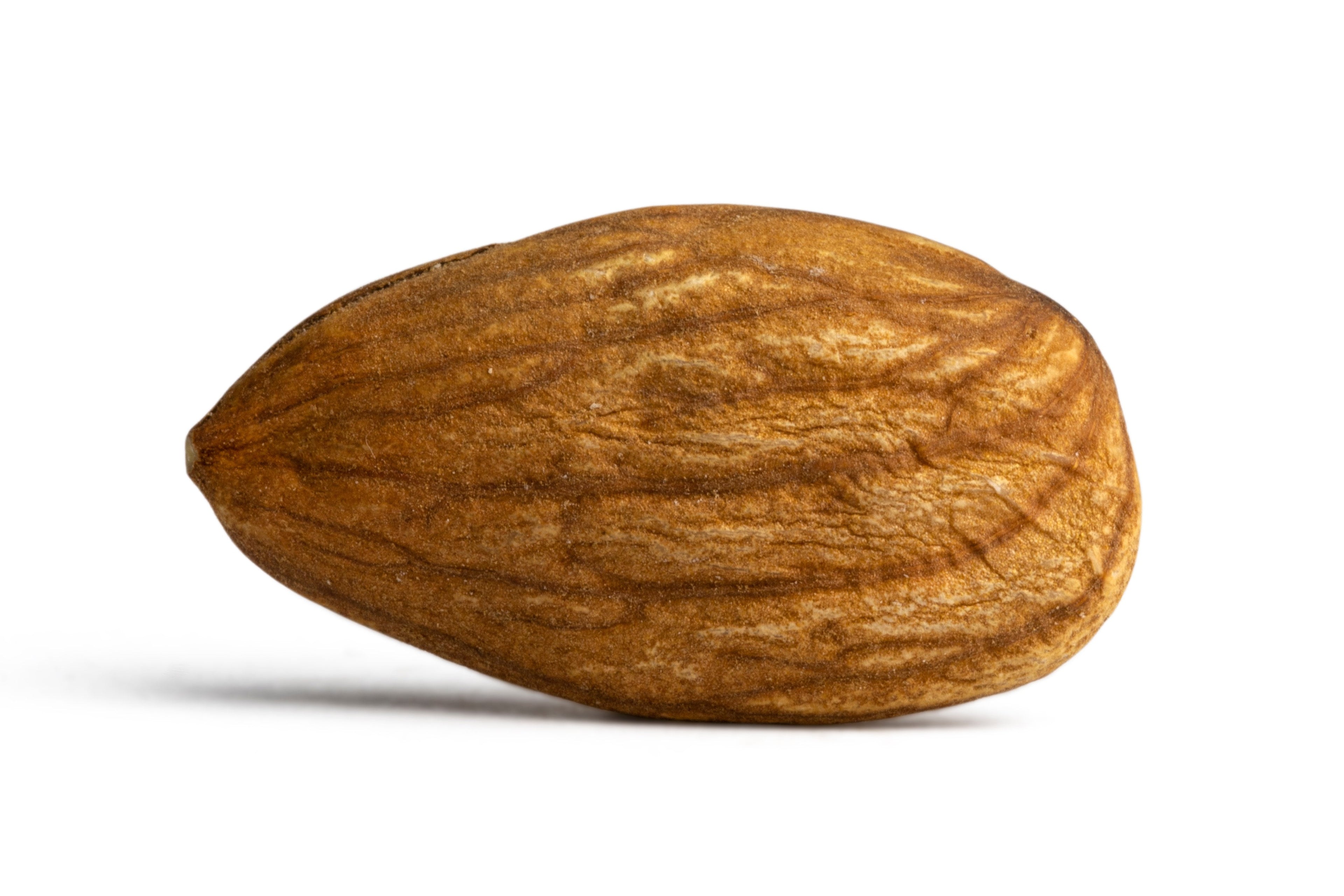 Raw Almonds (No Shell) N1